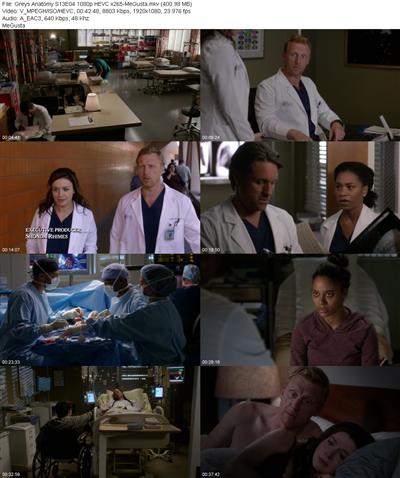 Greys Anatomy S13E04 1080p HEVC x265 