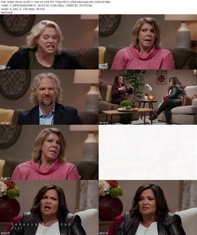 Sister Wives S16E11 One on One Pt1 720p HEVC x265 