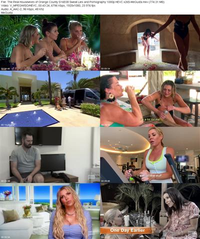 The Real Housewives of Orange County S16E08 Sweat Lies and Pornography 1080p HEVC x265 