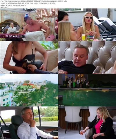 The Real Housewives of Miami S04E12 1080p HEVC x265 
