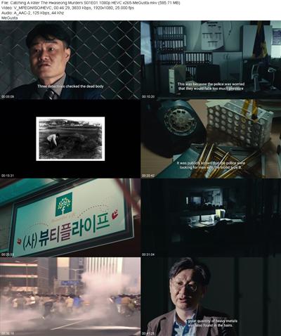 Catching A Killer The Hwaseong Murders S01E01 1080p HEVC x265 