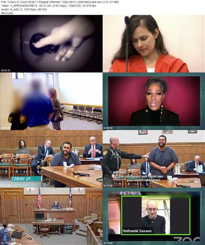 Chaos in Court S02E11 Repeat Offender 720p HEVC x265 