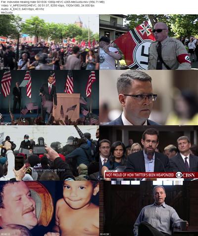 Indivisible Healing Hate S01E06 1080p HEVC x265 