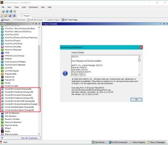 ANSYS 2022 R1 nCode DesignLife (x64)