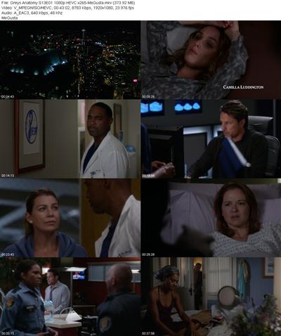 Greys Anatomy S13E01 1080p HEVC x265 