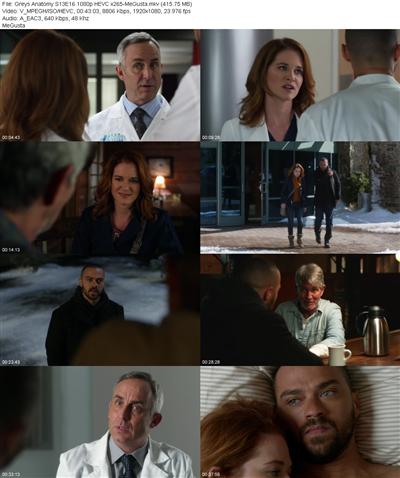 Greys Anatomy S13E16 1080p HEVC x265 