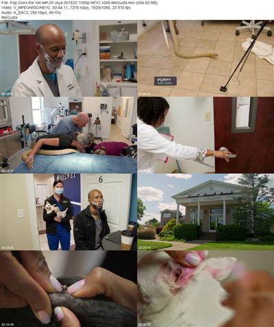 Pop Goes the Vet with Dr Joya S01E02 1080p HEVC x265 