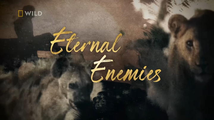 Lwy kontra hieny / Eternal Enemies: Lions And Hyenas (Revealed) (2021) PL.DOCU.1080i.HDTV.H264-TVmaniak | Polski Lektor