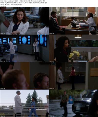 Greys Anatomy S13E02 1080p HEVC x265 