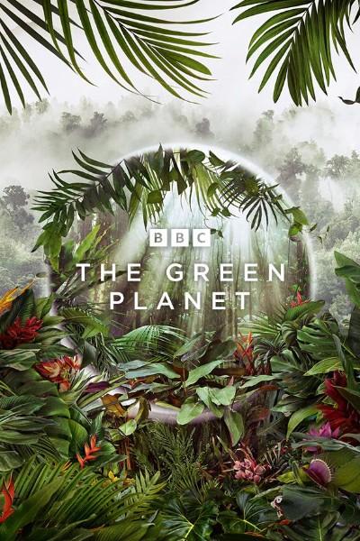 The Green Planet S01E04 1080p HEVC x265 