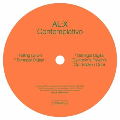 VA - AL:X - Contemplativo (2022) (MP3)