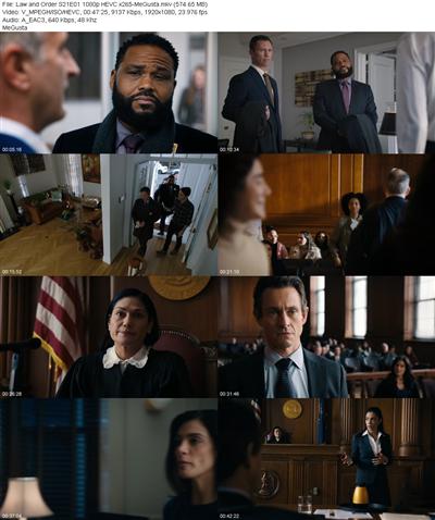 Law and Order S21E01 1080p HEVC x265 