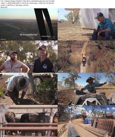 Outback Ringer S02E03 720p HEVC x265 