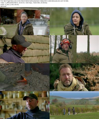 Ben Fogle New Lives in the Wild S16E06 Northumberland 1080p HEVC x265 