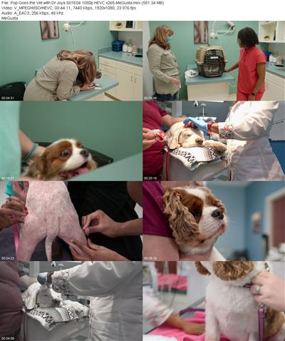 Pop Goes the Vet with Dr Joya S01E04 1080p HEVC x265 