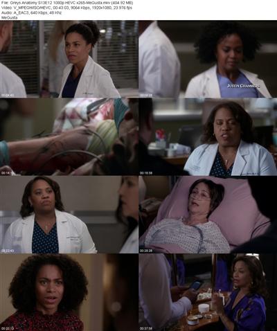 Greys Anatomy S13E12 1080p HEVC x265 