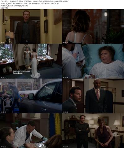 Greys Anatomy S12E24 iNTERNAL 1080p HEVC x265 