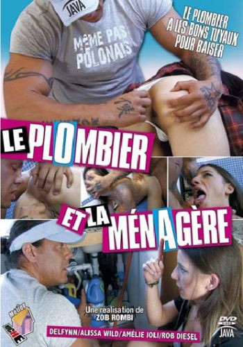 Le Plombier Et La Menagere / Сантехник и домохозяйка (Zob Rombie, JAVA) [2010 г., Hardcore, Anal, All Sex, DVDRip] (Delfynn, Alissa Wild, Amelie Joli, Rob Diesel)