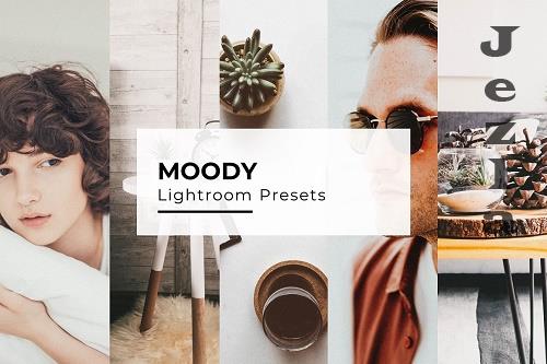 10+ Moody Lightroom Presets - 6902805