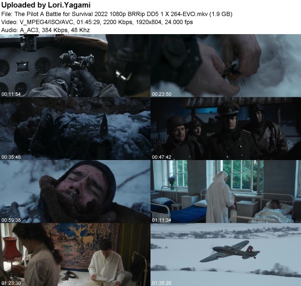 The Pilot A Battle for Survival (2022) 1080p BRRip DD5 1 X 264-EVO