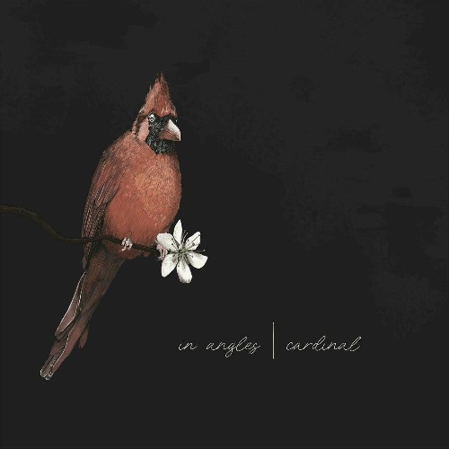 VA - In Angles - Cardinal (2022) (MP3)