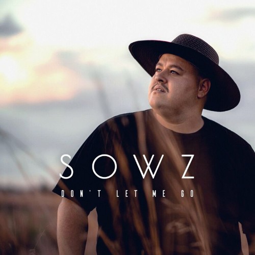 VA - SOWZ - Don't Let Me Go (2022) (MP3)