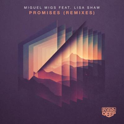VA - Miguel Migs ft Lisa Shaw - Promises (Remixes) (2022) (MP3)