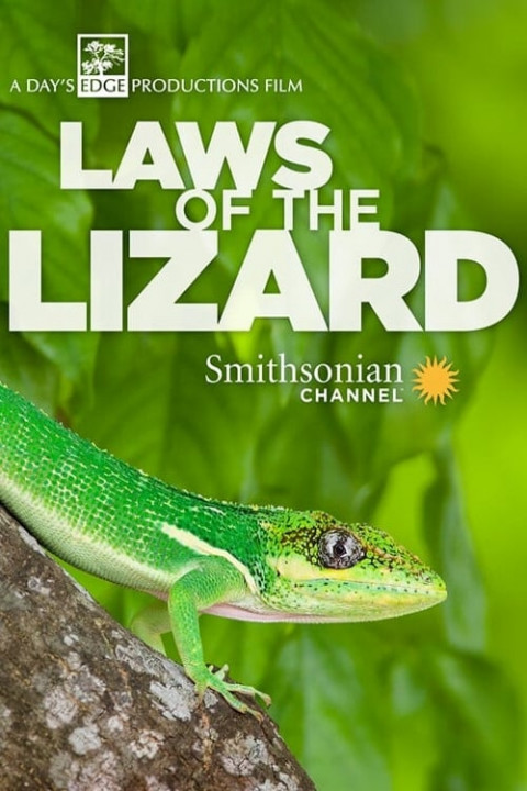 Niepisane prawa jaszczurki / Laws of the Lizard (2017) PL.DOCU.1080i.HDTV.H264-TVmaniak | Polski Lektor