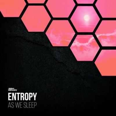 VA - Entropy - As We Sleep EP (2022) (MP3)