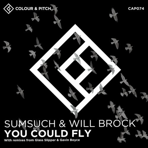 VA - Sumsuch, Will Brock - You Could Fly (2022) (MP3)
