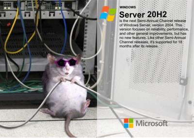 Windows Server, Version 20H2 Build 19042.1526 (Win x64)