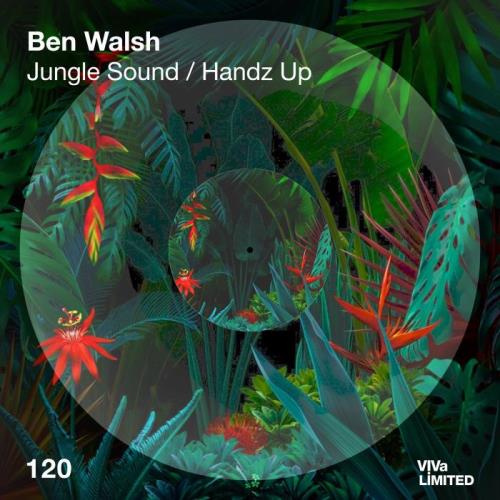 VA - Ben Walsh (UK) - Jungle Sound Handz Up (2022) (MP3)