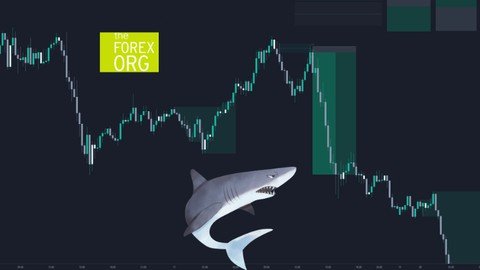 Udemy - Ultimate Trading Course - Master FOREX, STOCKS, CRYPTO