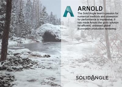 Solid Angle Cinema 4D to Arnold 4.0.3.2 (Win x64)