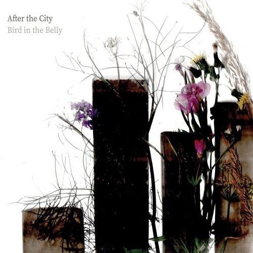 Bird In The Belly - After The City (2022)