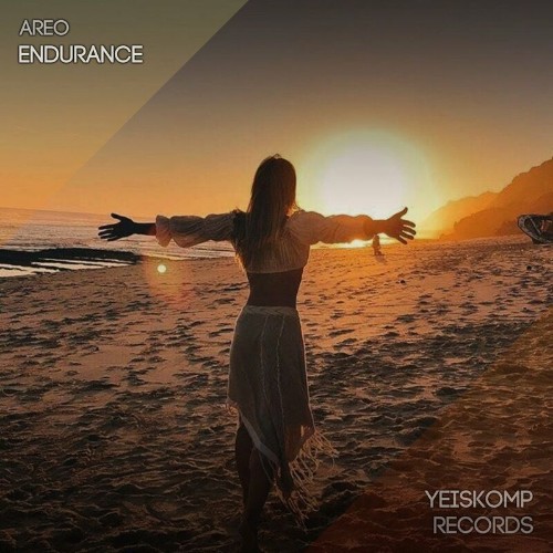 VA - AREO - Endurance (2022) (MP3)