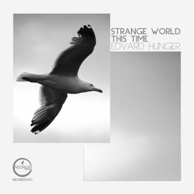 VA - Edvard Hunger - Strange World (2022) (MP3)