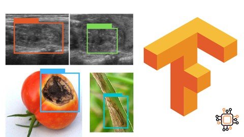 Object Detection with Tensorflow - Fast Track Course