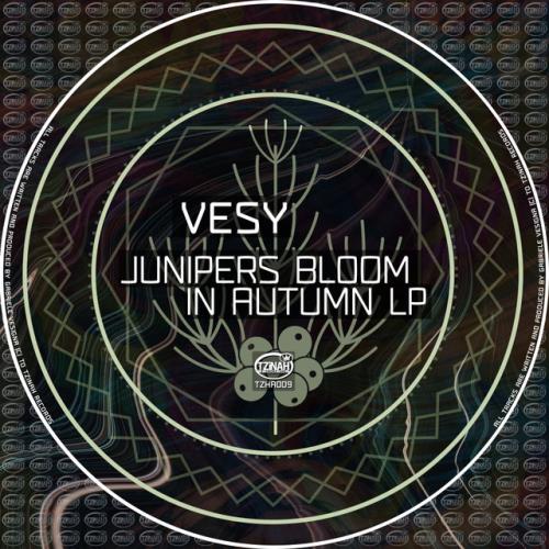 VA - Vesy - Junipers Bloom In Autumn Lp (2022) (MP3)