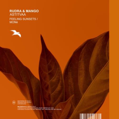 VA - Rudra & Mango - Astitvaa (2022) (MP3)