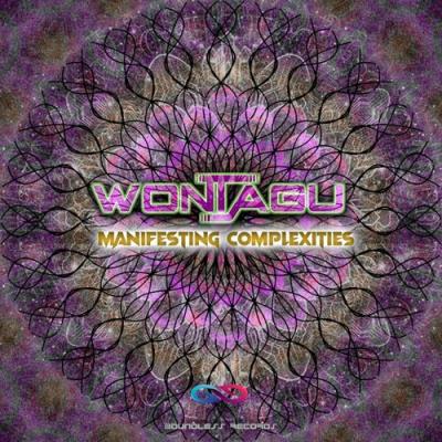 VA - Wontagu - Manifesting Complexities (2022) (MP3)