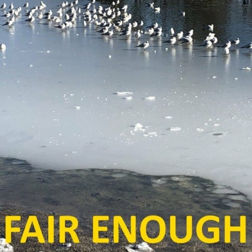 VA | Chili Beats - Fair Enough (2022) MP3