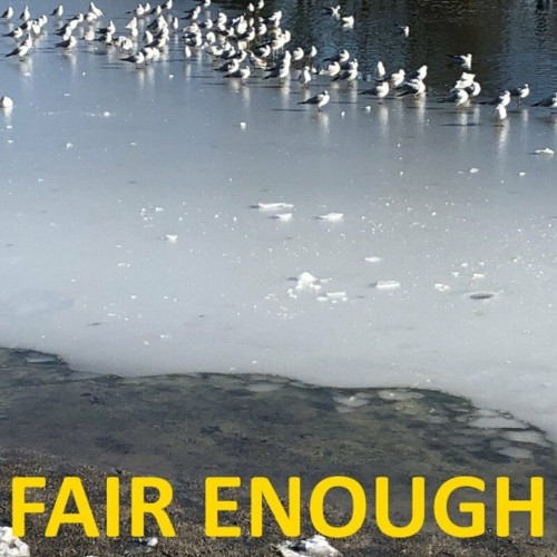 VA - Chili Beats - Fair Enough (2022) (MP3)
