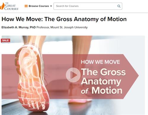 How We Move The Gross Anatomy of Motion