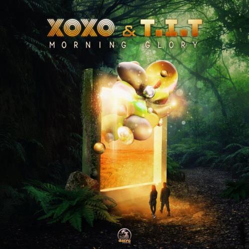 VA - Xoxo & T.I.T - Morning Glory (2022) (MP3)