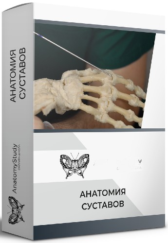 Анатомия суставов (2022) Видеокурс