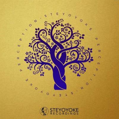 VA - Steyoyoke Perception, Vol. 09 (2022) (MP3)