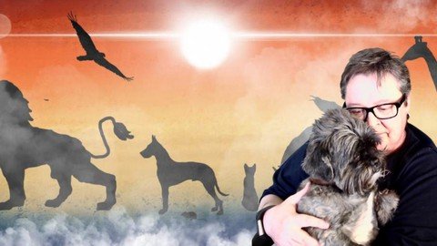 Udemy - ANIMAL Communication APPROVED Certificate Course 2022
