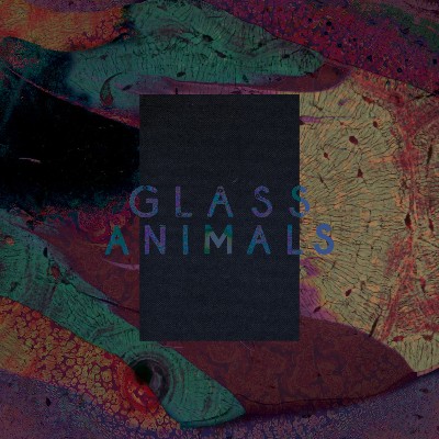 Glass Animals - Black Mambo - Exxus