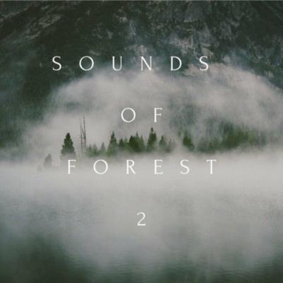 VA - Sounds of Forest 2 (2022) (MP3)